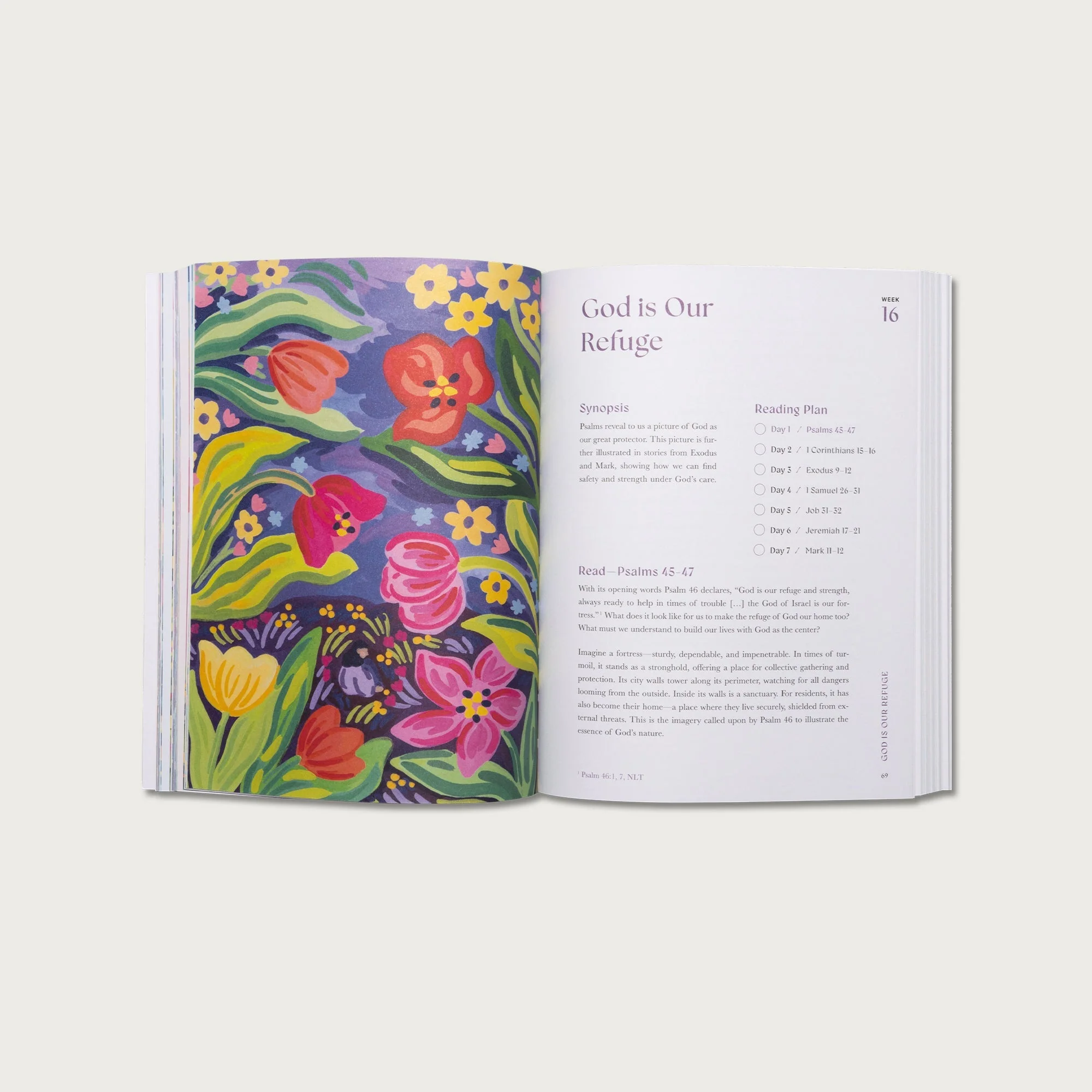 A Beautiful Year in the Bible: The 52-Week Bible Study for Women - Image 3