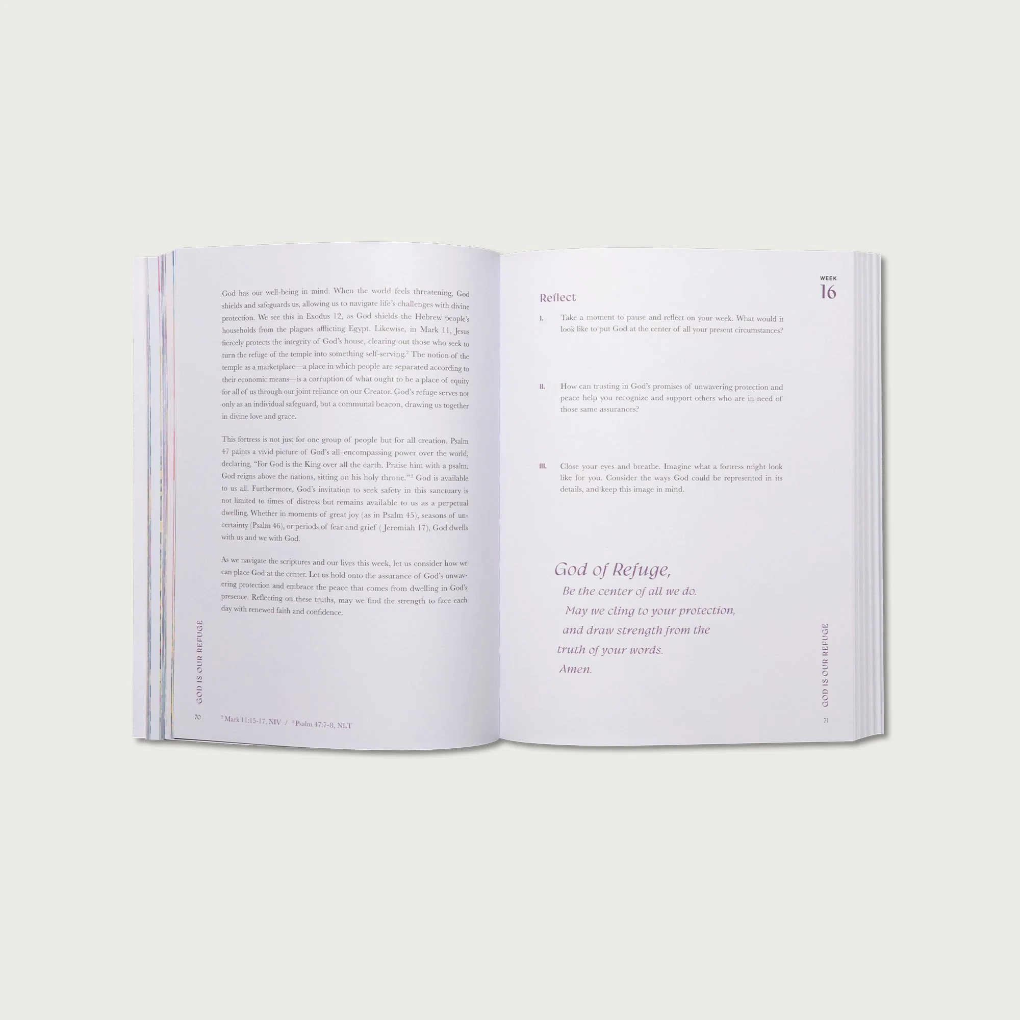 A Beautiful Year in the Bible: The 52-Week Bible Study for Women - Image 4