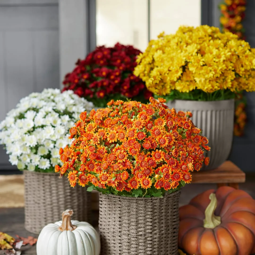 Artificial Outdoor Sunset Mums Flowers - UV resistant, Waterproof, Windproof - Image 11