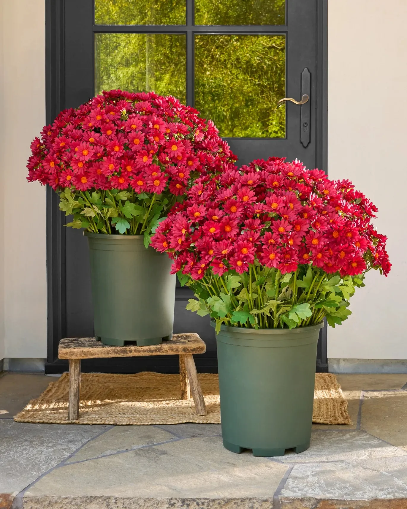 Artificial Outdoor Sunset Mums Flowers - UV resistant, Waterproof, Windproof - Image 15