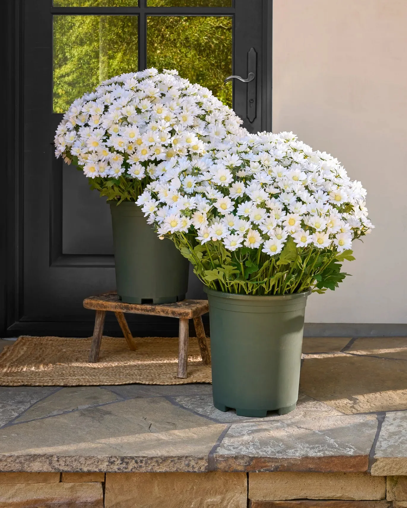 Artificial Outdoor Sunset Mums Flowers - UV resistant, Waterproof, Windproof - Image 17
