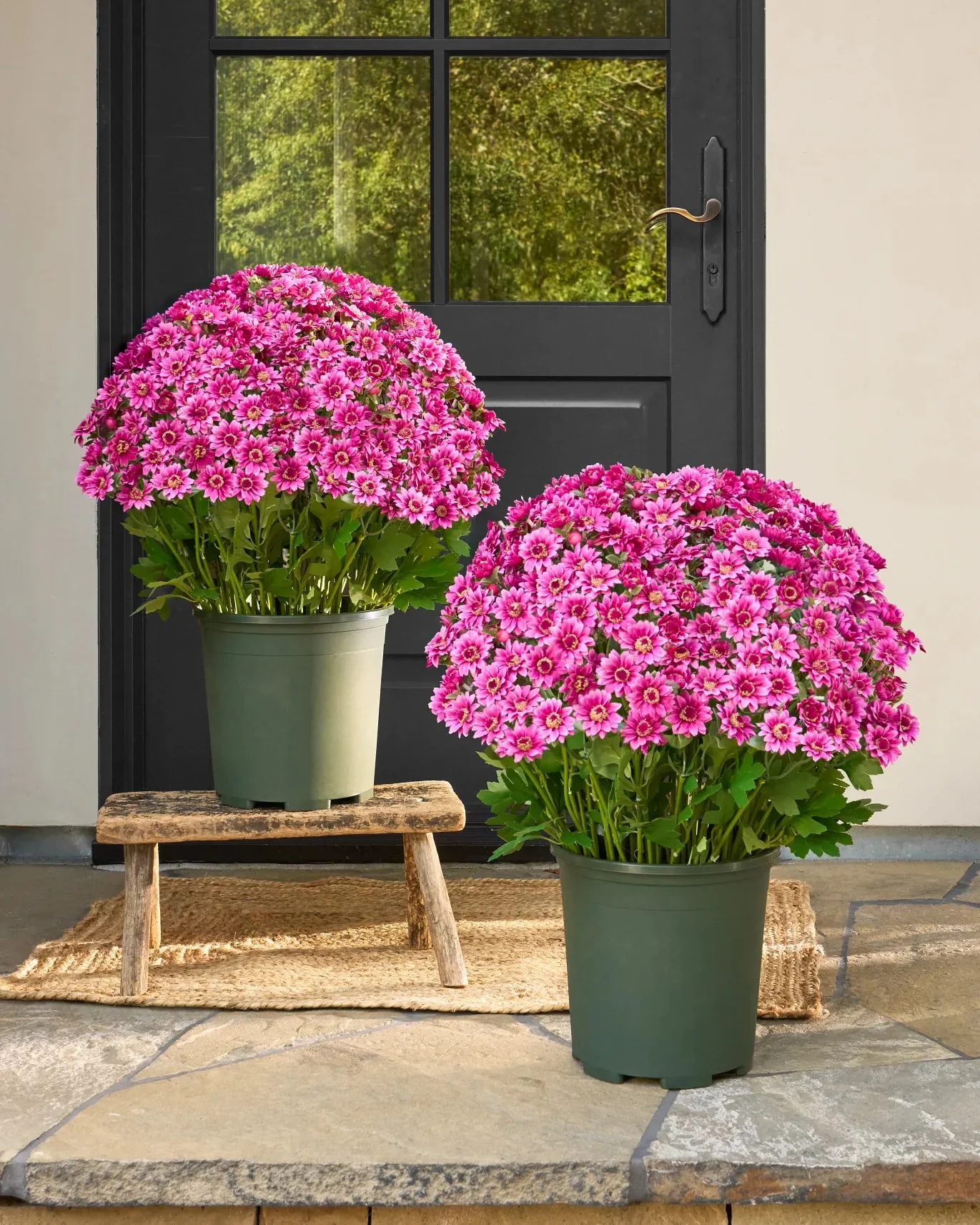 Artificial Outdoor Sunset Mums Flowers - UV resistant, Waterproof, Windproof - Image 2