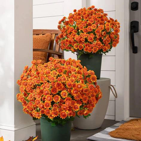 Artificial Outdoor Sunset Mums Flowers - UV resistant, Waterproof, Windproof - Image 4