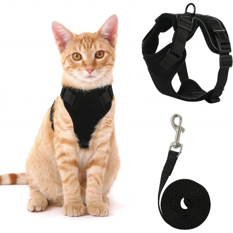 Cat Harness & Leash - Image 11