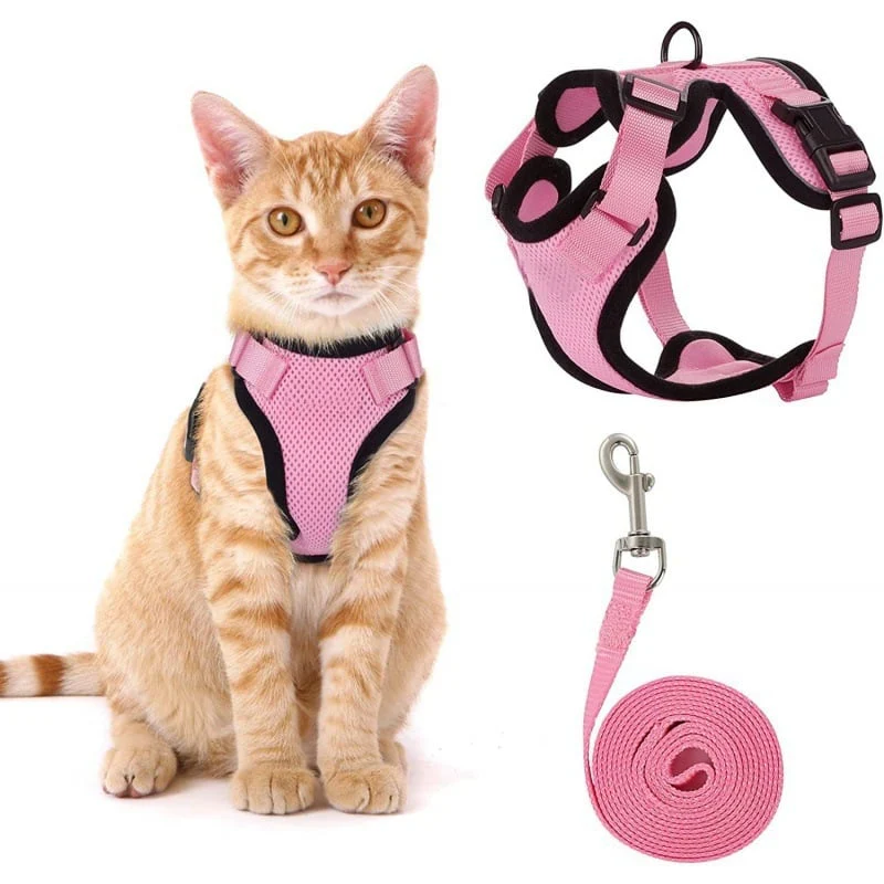 Cat Harness & Leash - Image 12