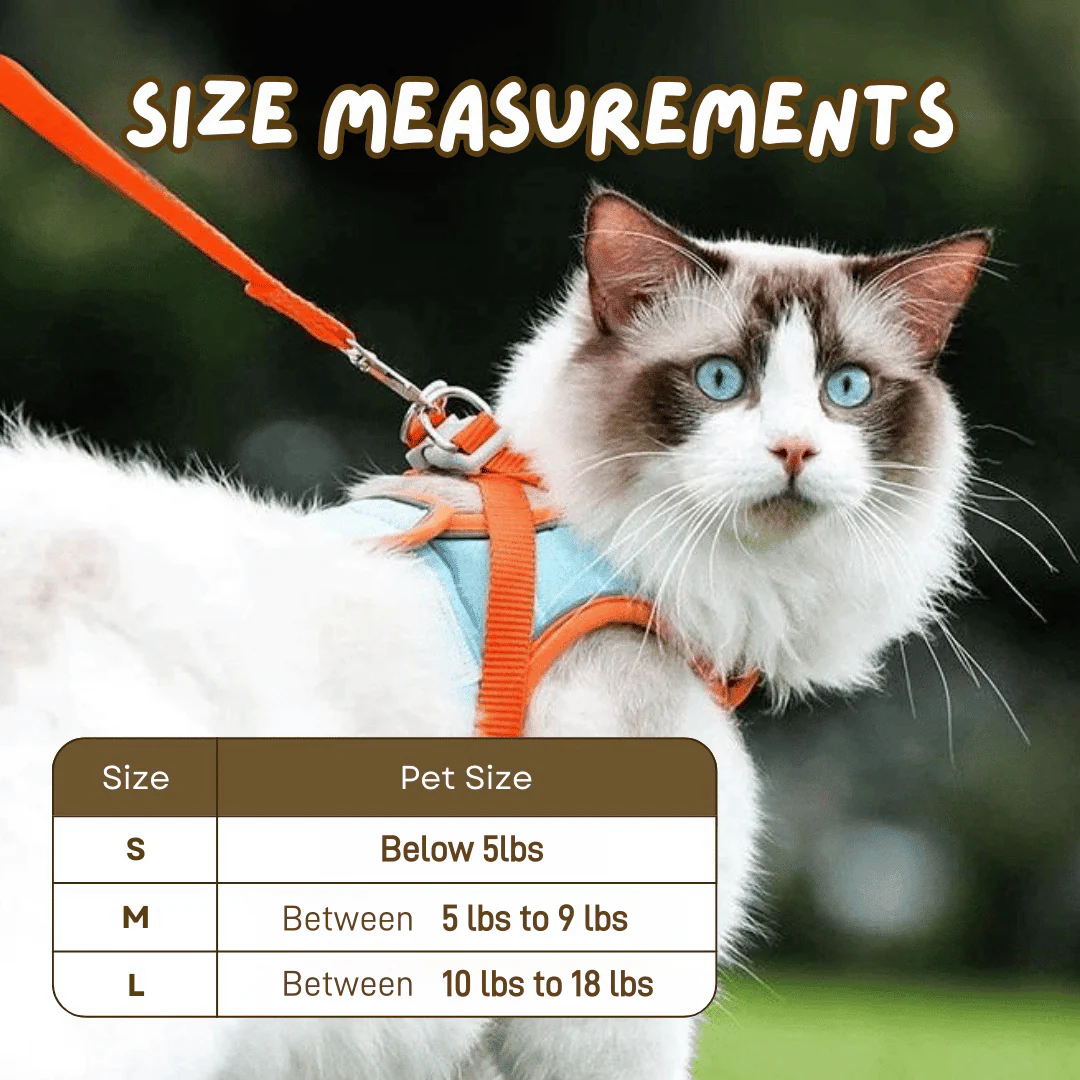 Cat Harness & Leash - Image 2
