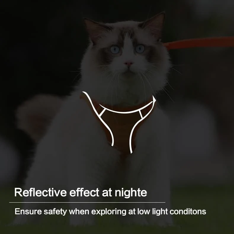 Cat Harness & Leash - Image 5