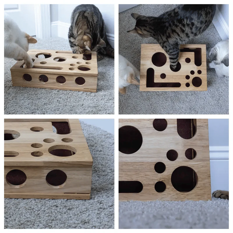 Cat Scratch Puzzle Enrichment Box - Image 8