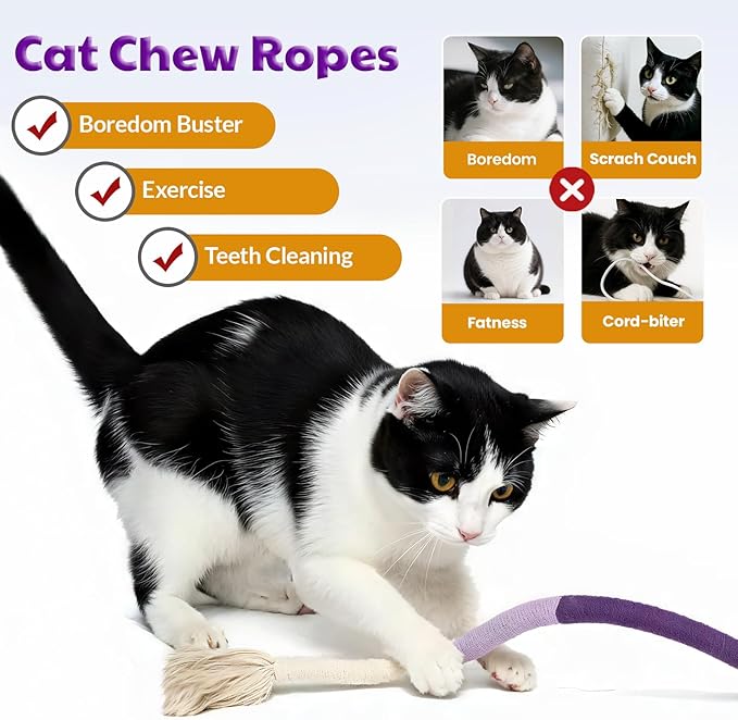 🔥😻Catnip Chew Rope Toy – Natural, Safe Tooth Cleaner for Indoor Cats - Image 3
