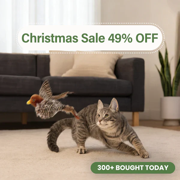 Flying Bird Cat Toy