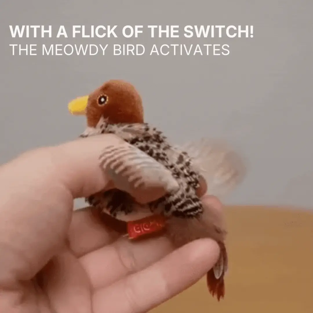 Flying Bird Cat Toy - Image 3