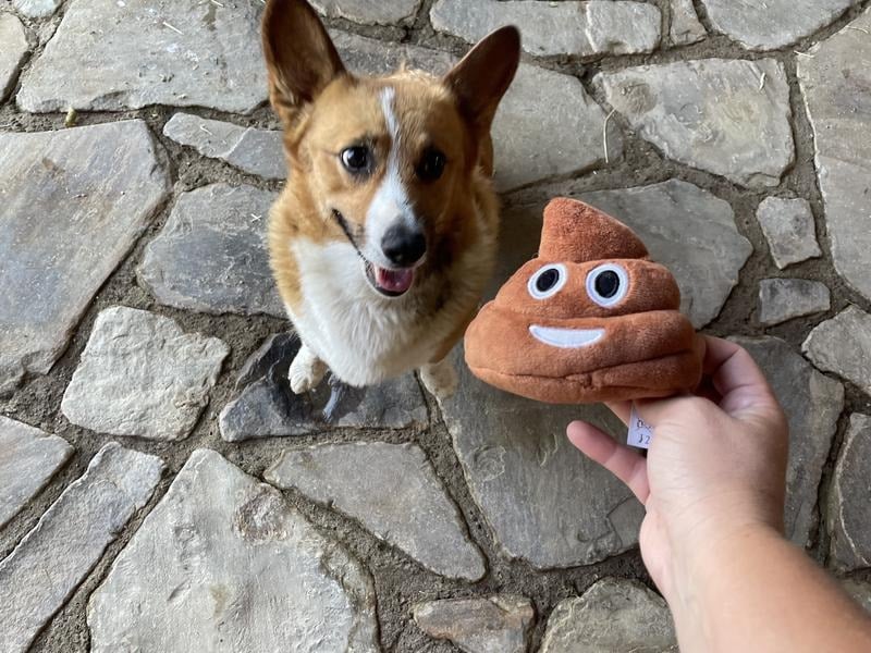 🎁Lowest price ever💥Funny Talking Poop Plush Toy – Makes Fart Sounds! - Image 10