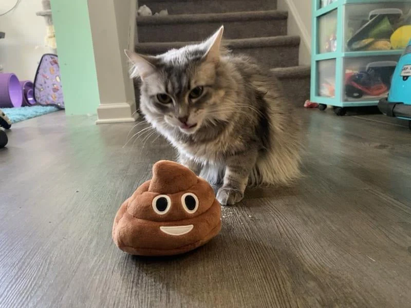🎁Lowest price ever💥Funny Talking Poop Plush Toy – Makes Fart Sounds! - Image 11