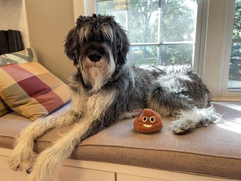 🎁Lowest price ever💥Funny Talking Poop Plush Toy – Makes Fart Sounds! - Image 12