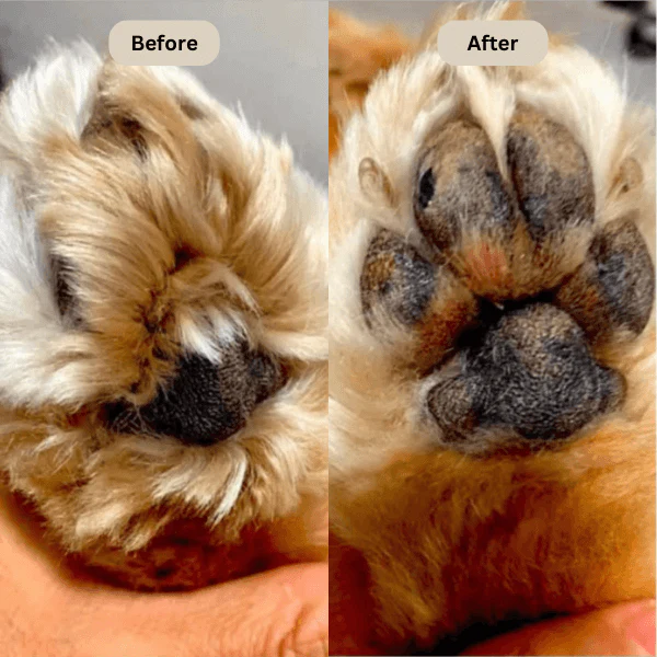 Tiktrove Electric Fur Trimmer - Image 10