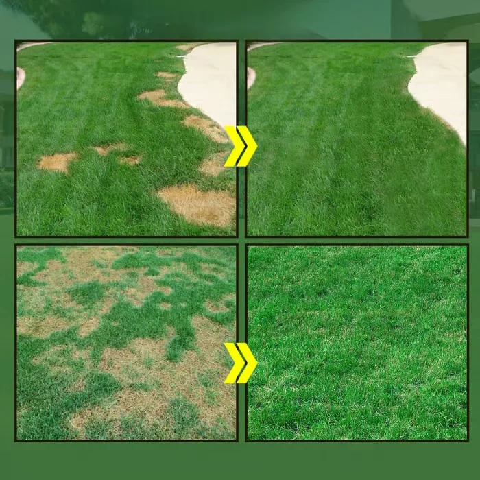 🔥Hydro Seeding Lawn Solution - Image 2