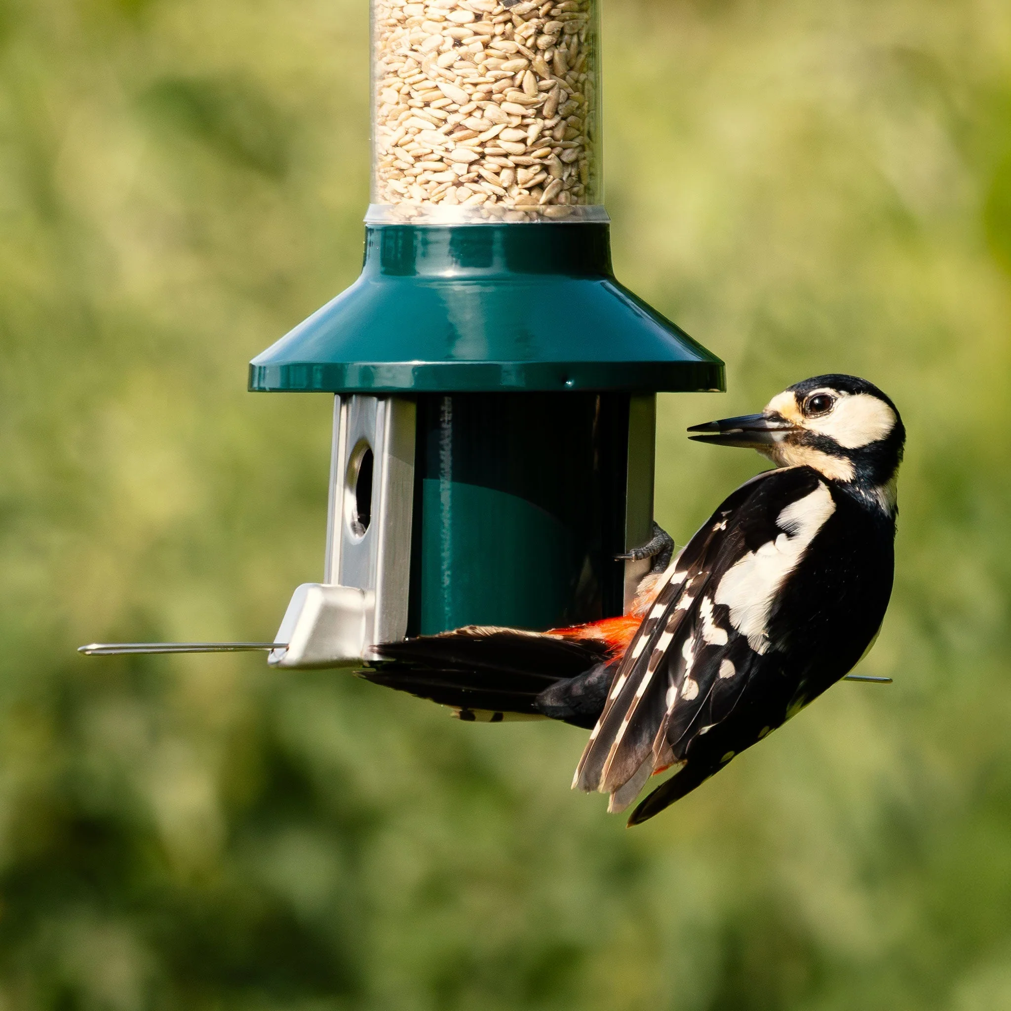 Tiktrove PestOff Squirrel Proof Bird Feeder 2.0 - Image 2