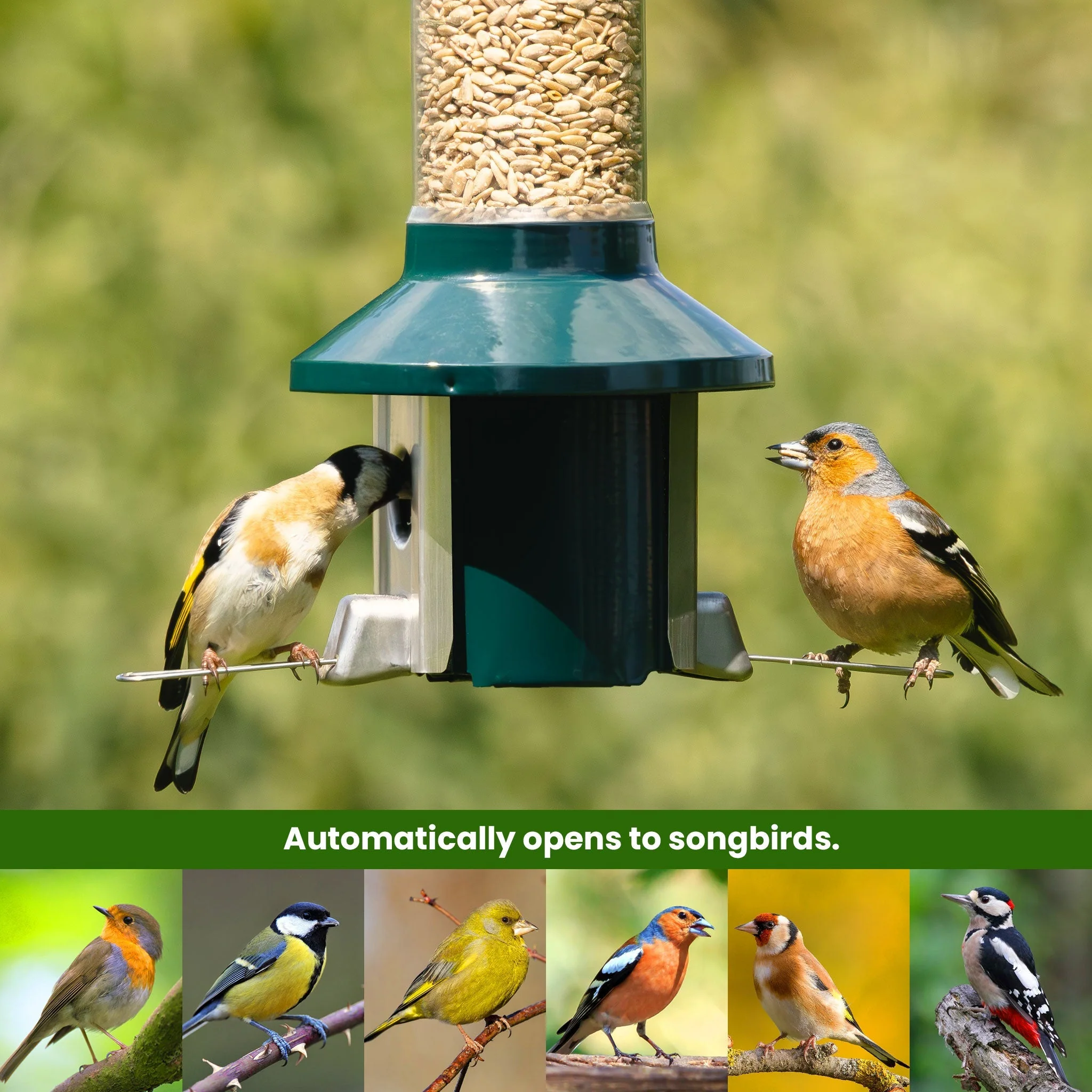Tiktrove PestOff Squirrel Proof Bird Feeder 2.0 - Image 3