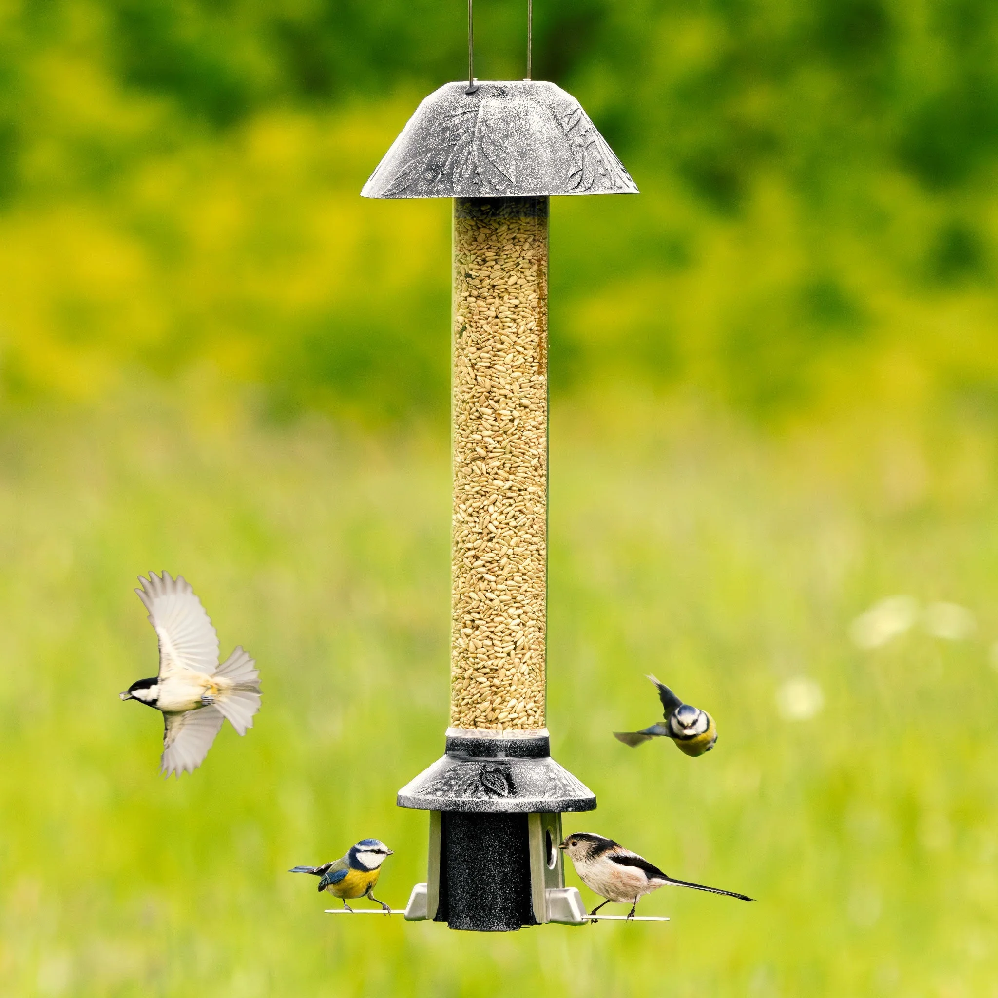 Tiktrove PestOff Squirrel Proof Bird Feeder 2.0 - Image 7