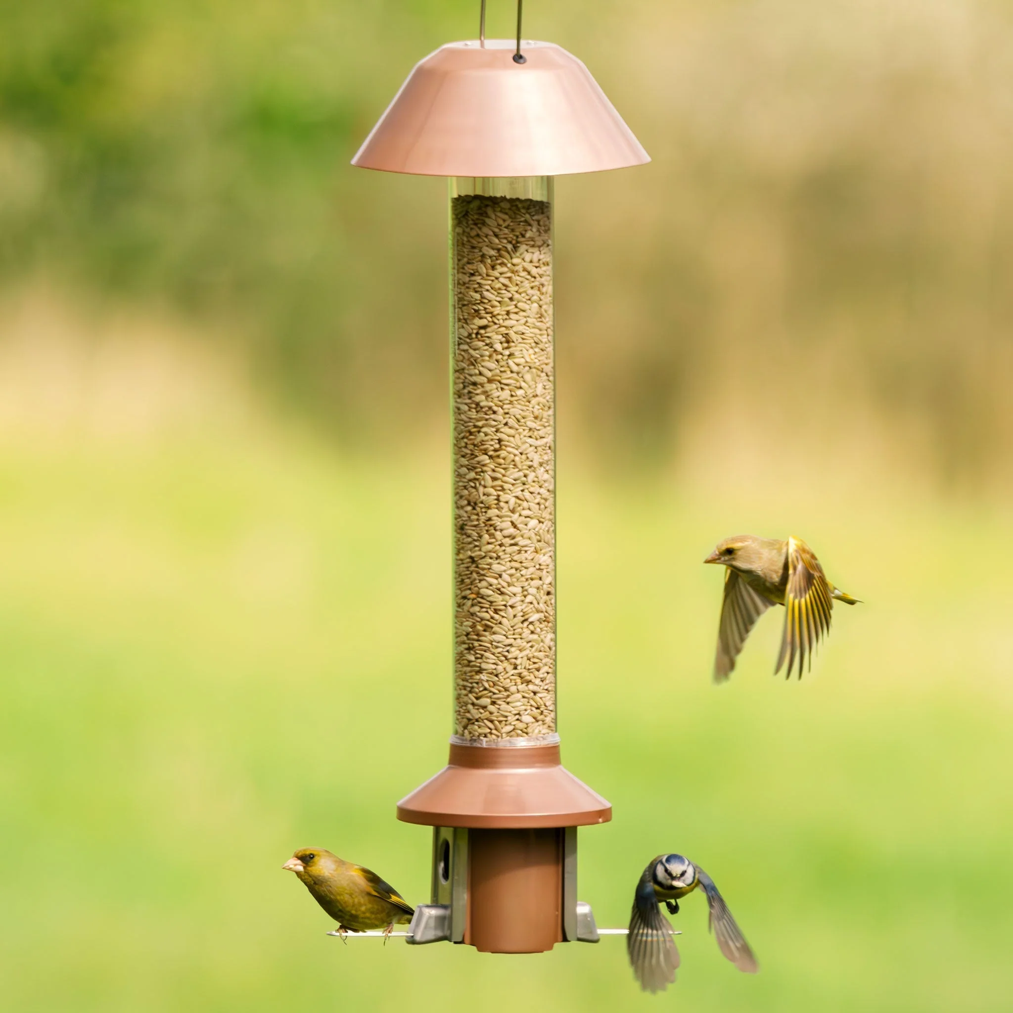 Tiktrove PestOff Squirrel Proof Bird Feeder 2.0 - Image 8