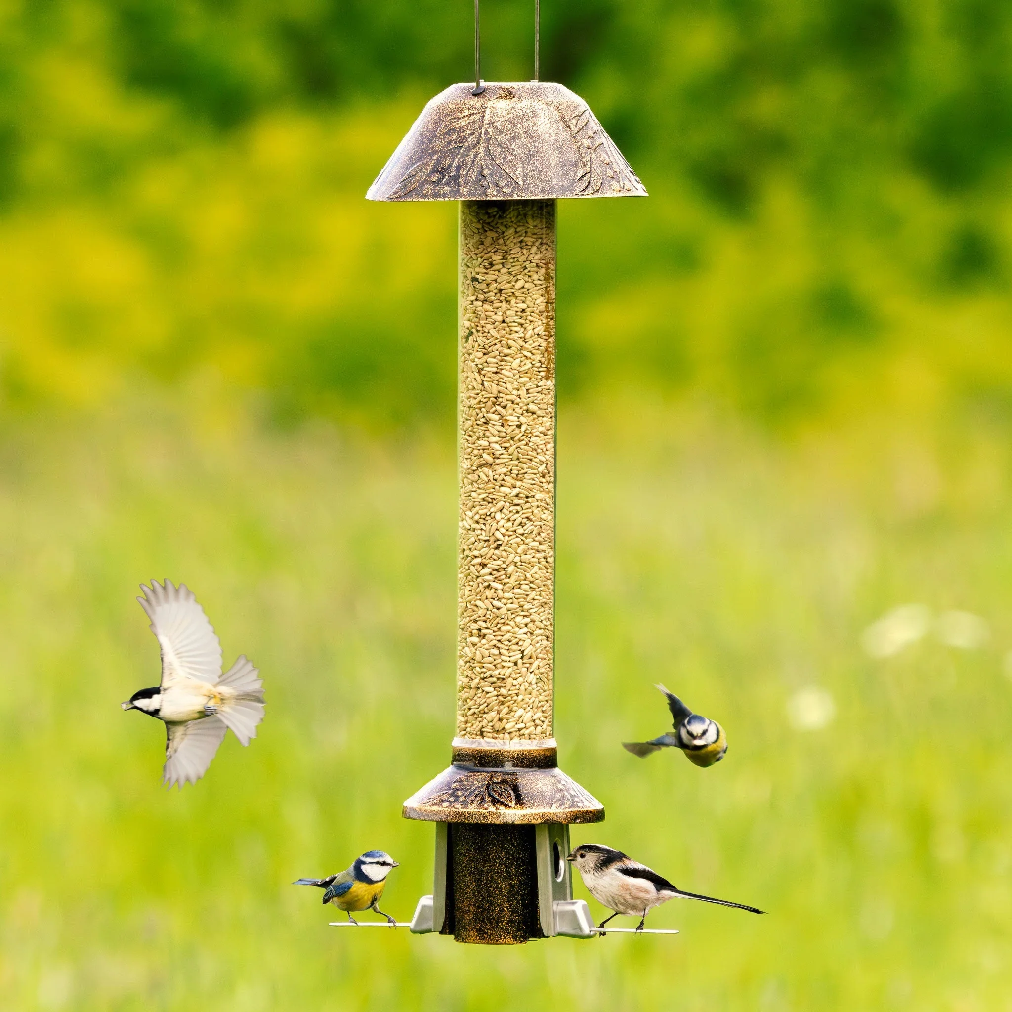 Tiktrove PestOff Squirrel Proof Bird Feeder 2.0 - Image 9