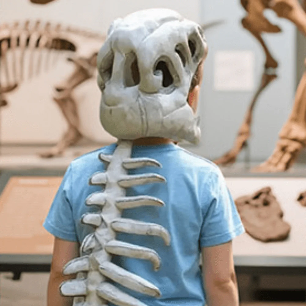 Tiktrove Plush Dino Outfit - Image 4