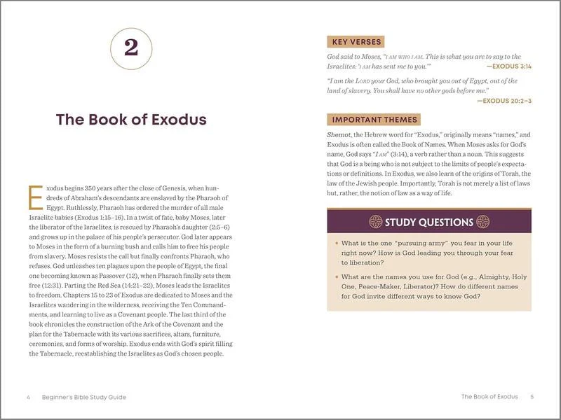 The Beginner's Bible Study Guide - Image 3