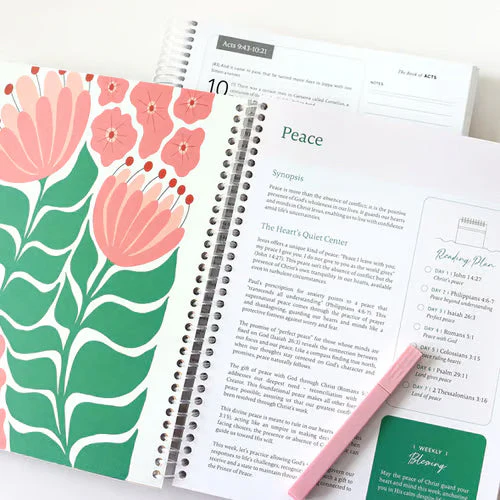The Bible In A Year - 52 Week Bible Journal - Image 9