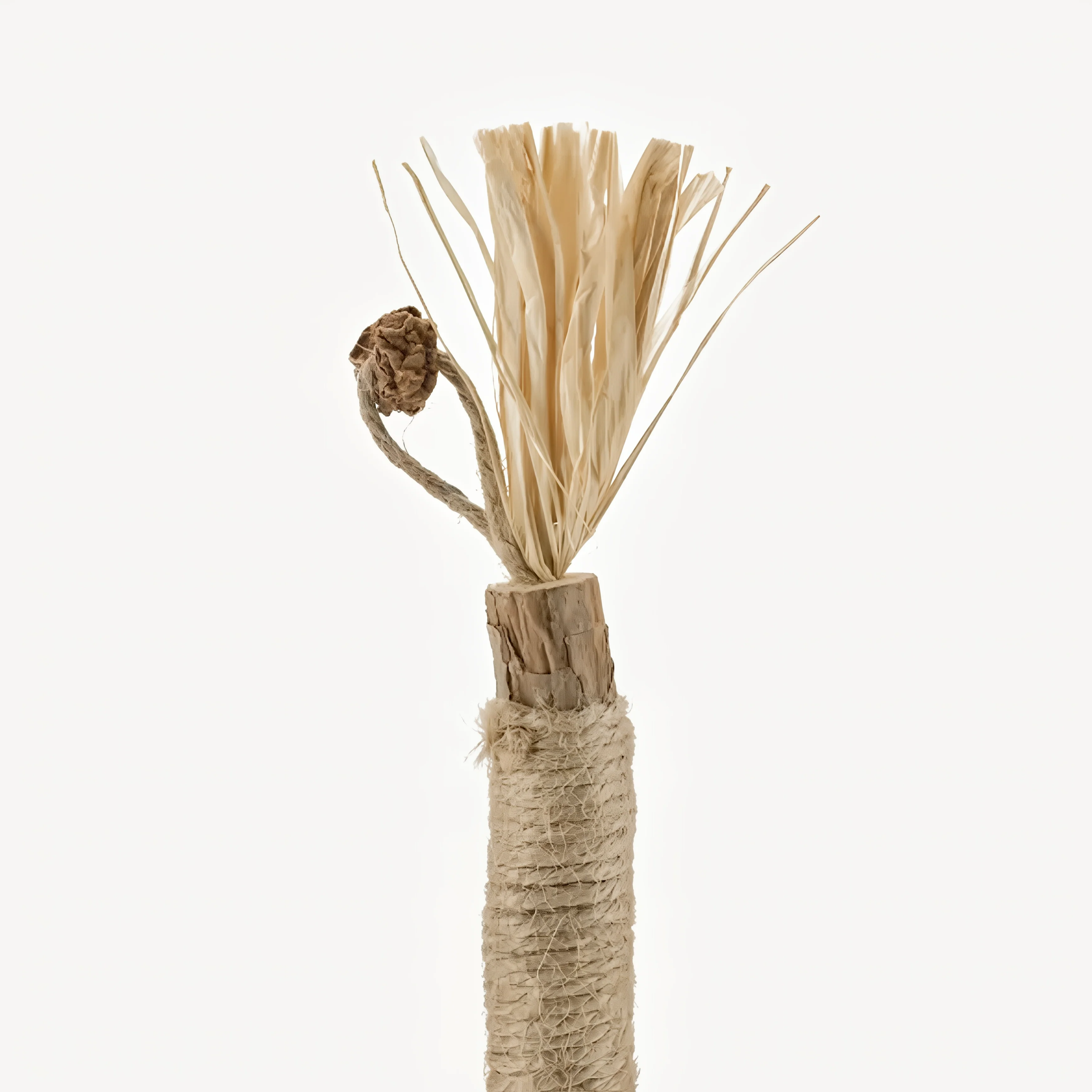 Tiktrove Natural Silvervine Dental Sticks - Image 10