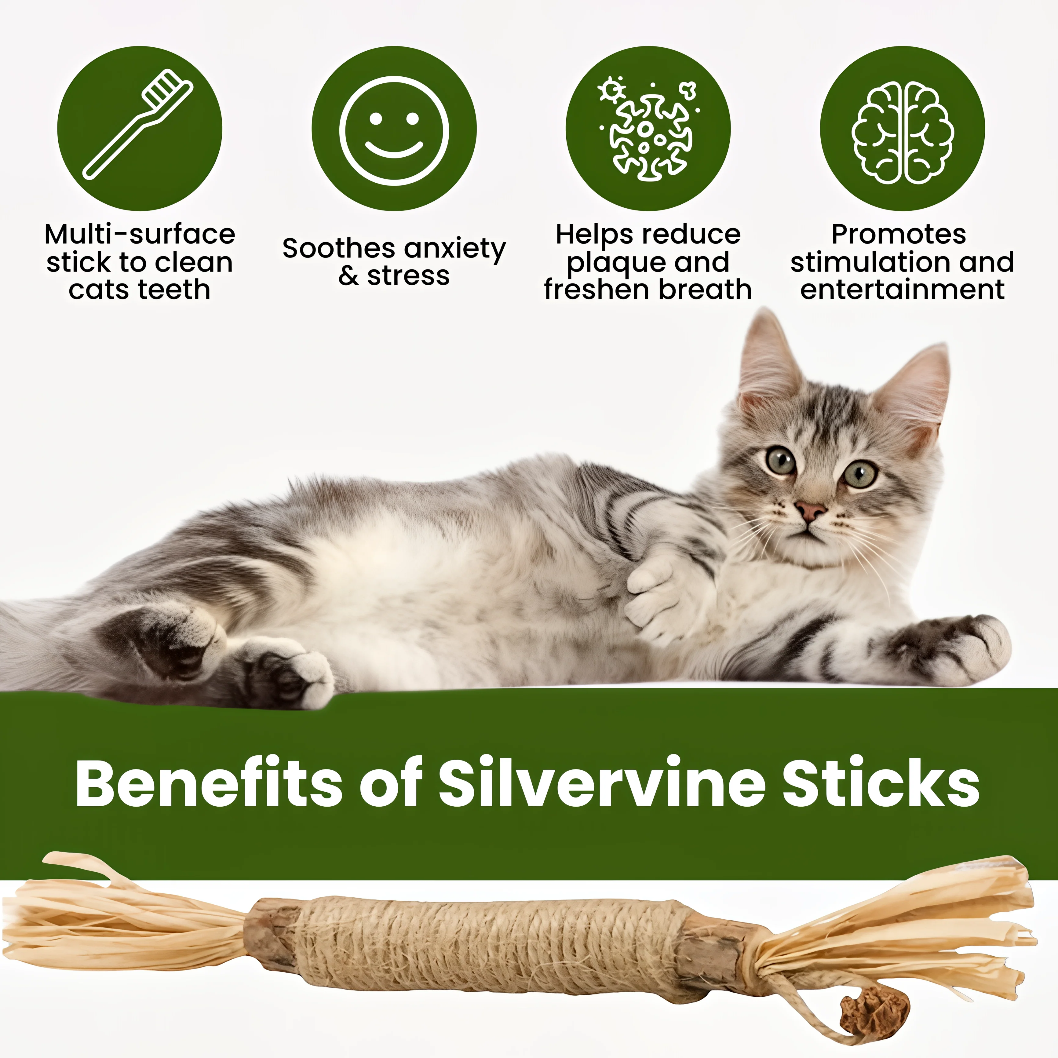 Tiktrove Natural Silvervine Dental Sticks - Image 2