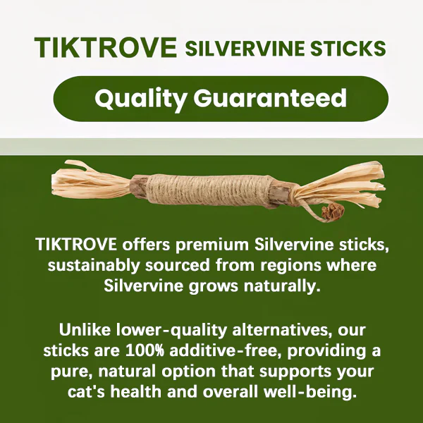 Tiktrove Natural Silvervine Dental Sticks - Image 4