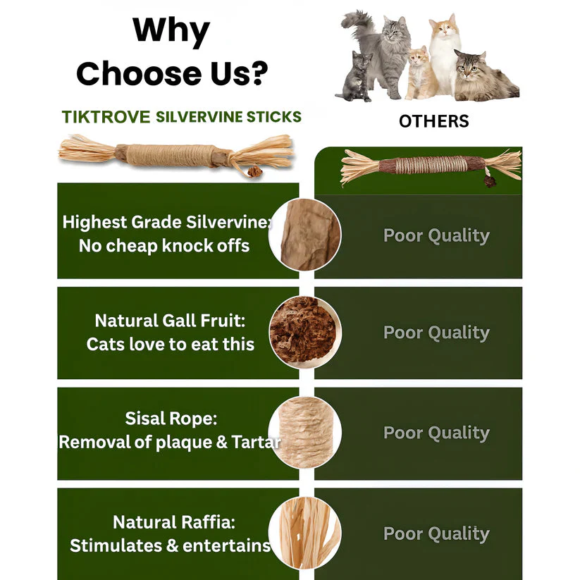 Tiktrove Natural Silvervine Dental Sticks - Image 5