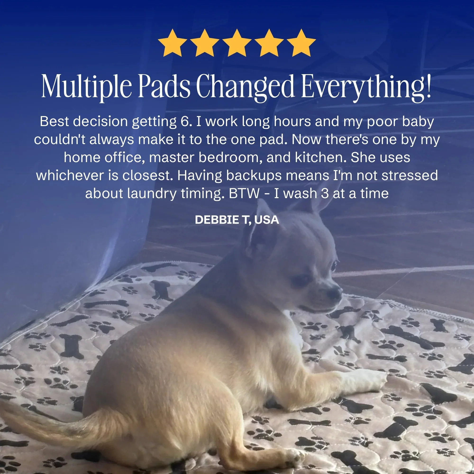 Tiktrove pet pee pad - Image 5