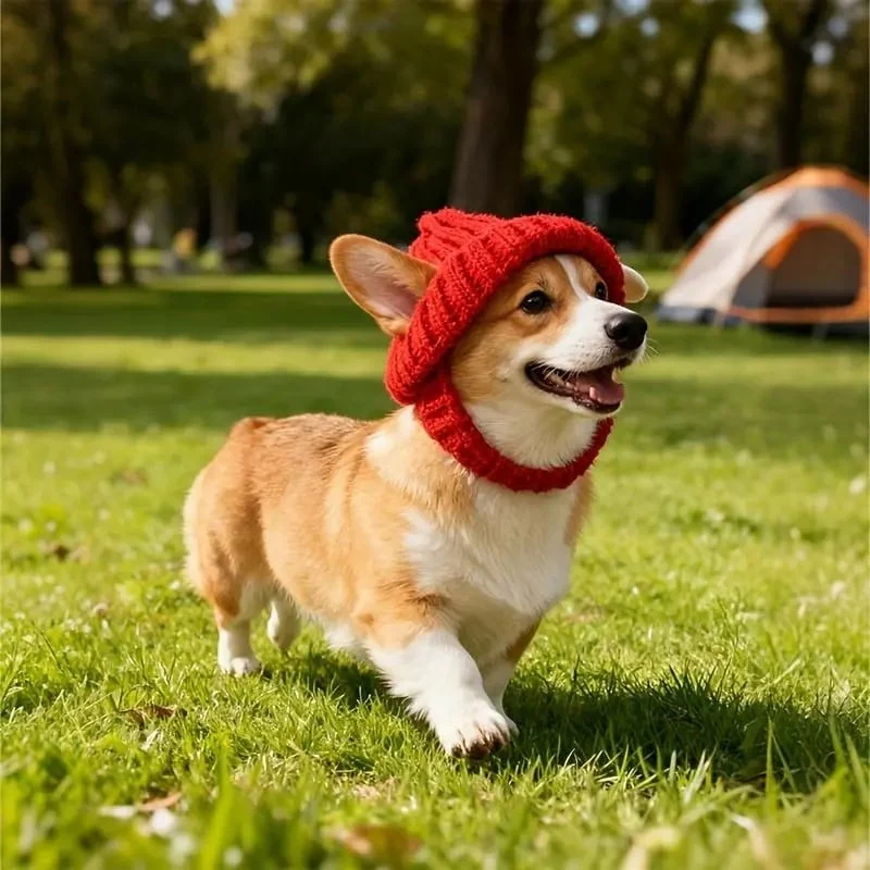 🔥🐾Red Wool Knit Dog Beanie with Ear Flaps – Warm Winter Hat - Image 3